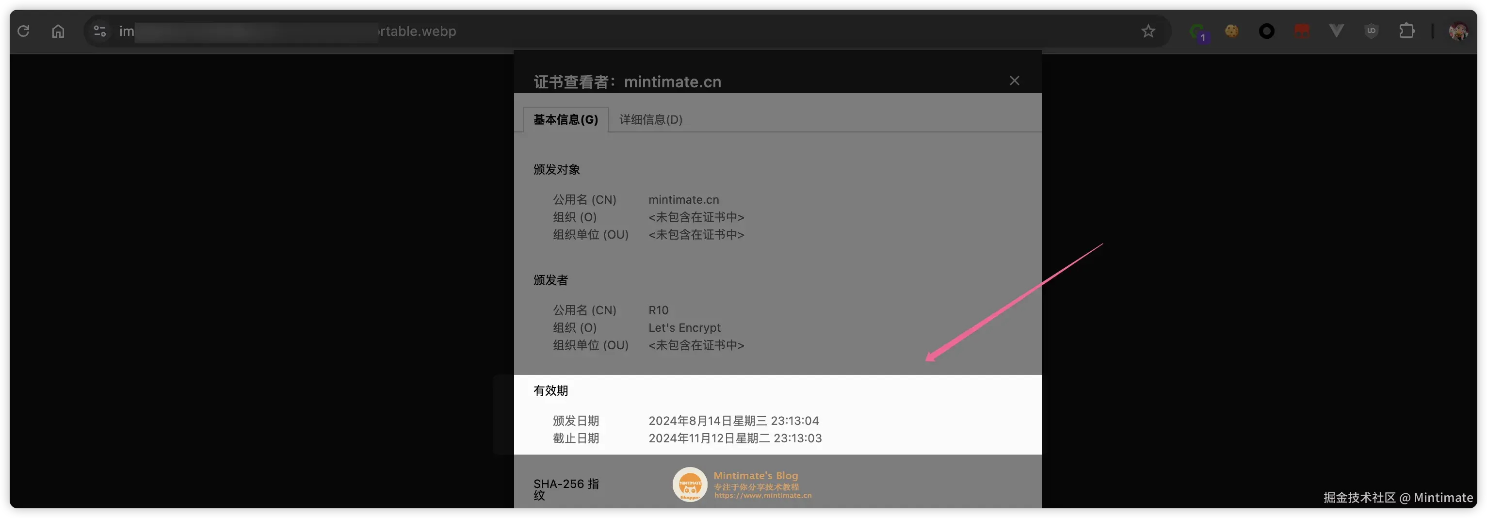 查看证书有效期（Chrome）