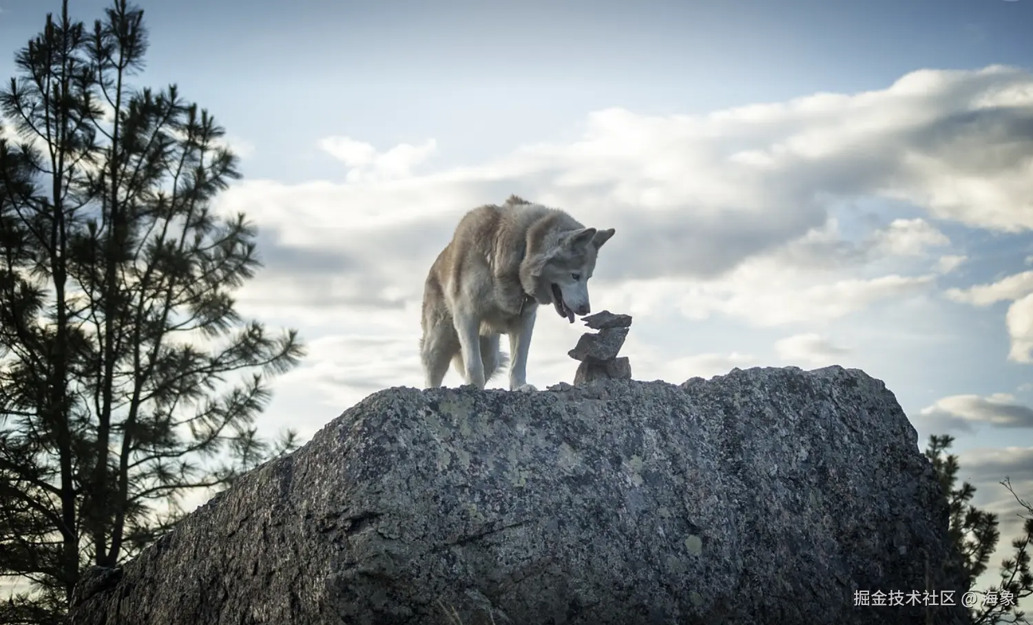 截屏2024-07-24 下午4.06.47.png