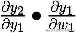 \frac{\partial {y}_2}{\partial {y}_1}\bullet \frac{\partial {y}_1}{\partial {w}_1}