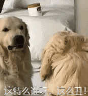 开心一刻