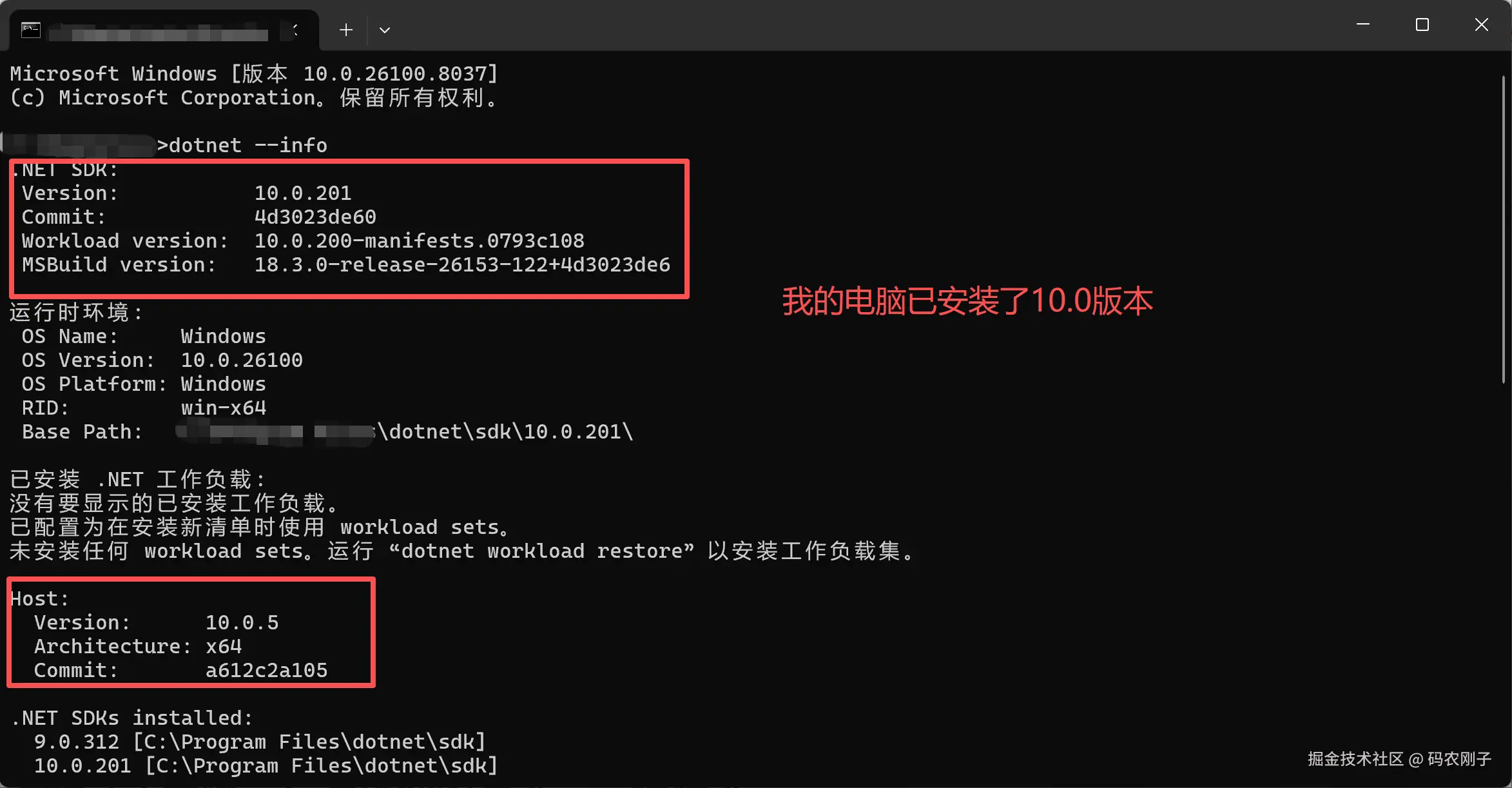 命令行终端执行dotnet --info命令显示.NET 8版本信息的截图