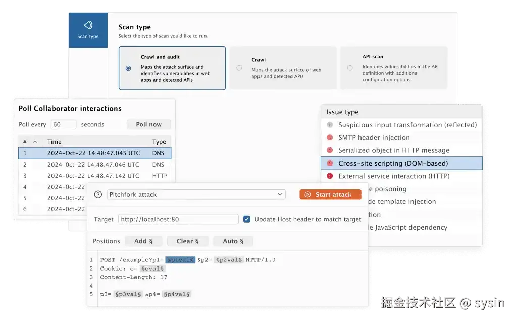 Burp Suite 专业版