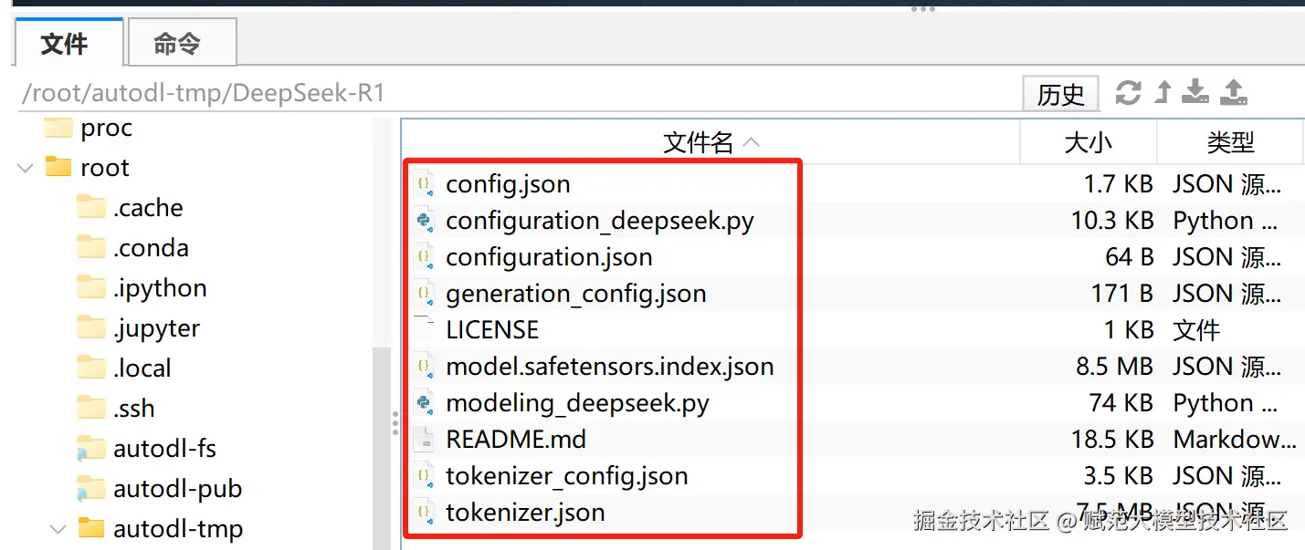 image-20250304171600903