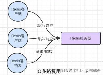 image-20240131143015600.png
