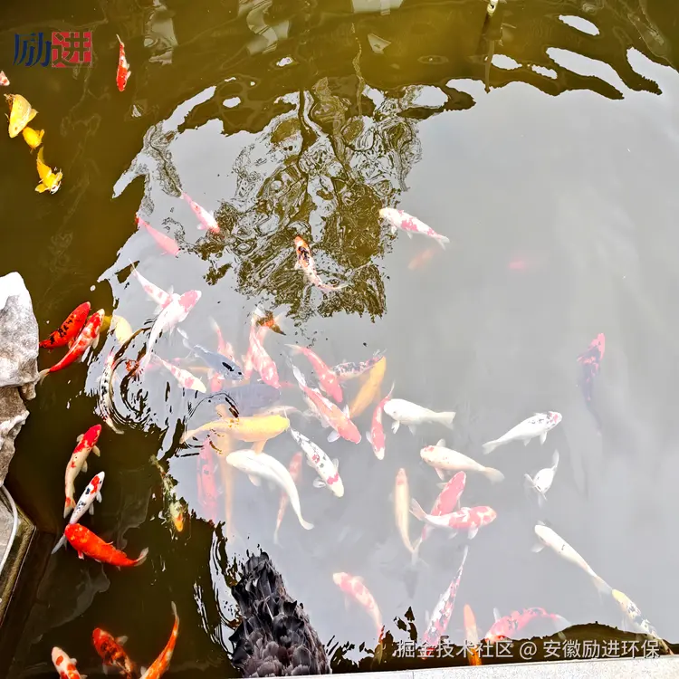 蚌埠老铺人家餐饮有限公司案例 (1)