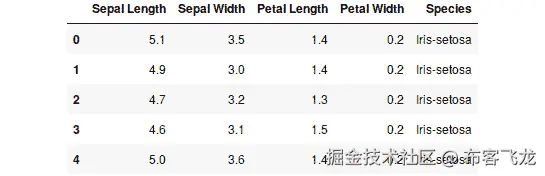 图 4.17：数据集的前五行
