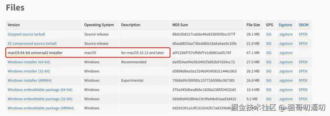 Python 3.13 安装程序（来自其官方网站）