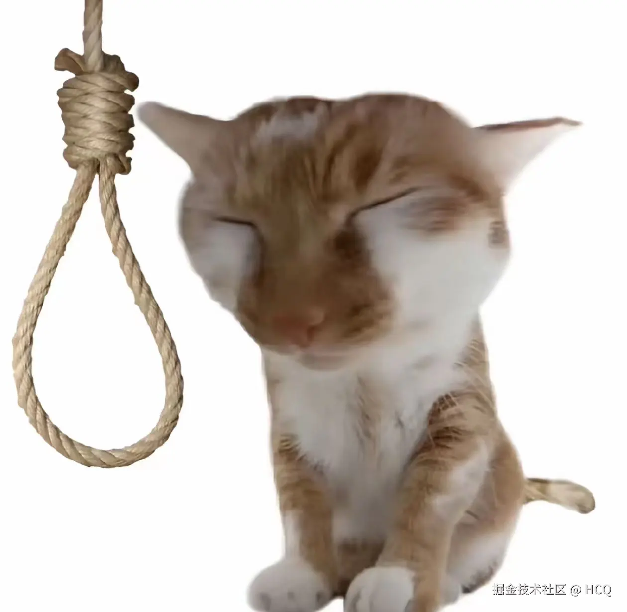 7371e6c646ae0a7919845d85490c9946.jpg