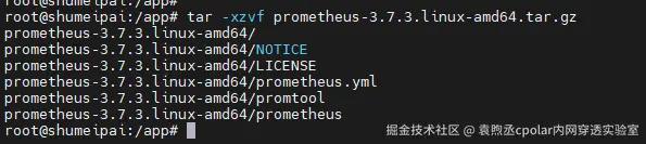 image-20251111151242288