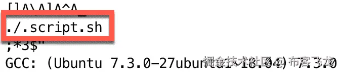 图 11.35 – strings 命令的输出显示它调用了一个 shell 脚本文件