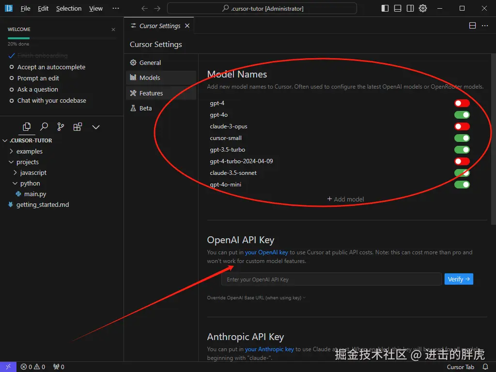 image-20240830223707839