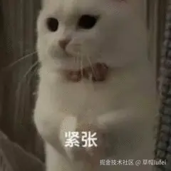 B98613A4BEA6AC9A4DA6C0A602D6C164.gif