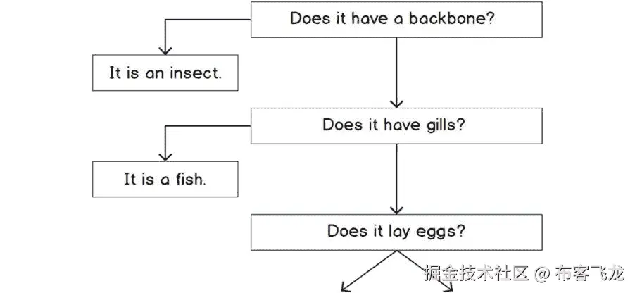 图 5.37：使用二分法分类动物