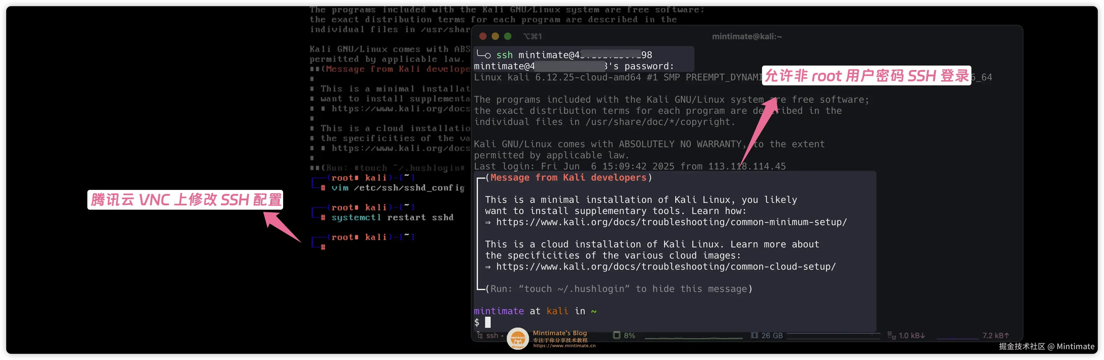 Kali Linux 系统