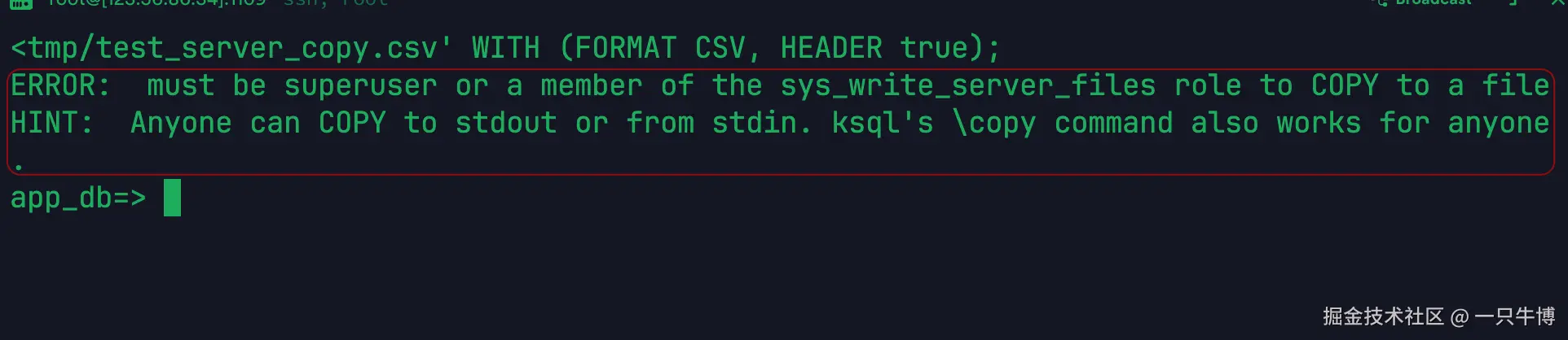 COPY server-side error comparison
