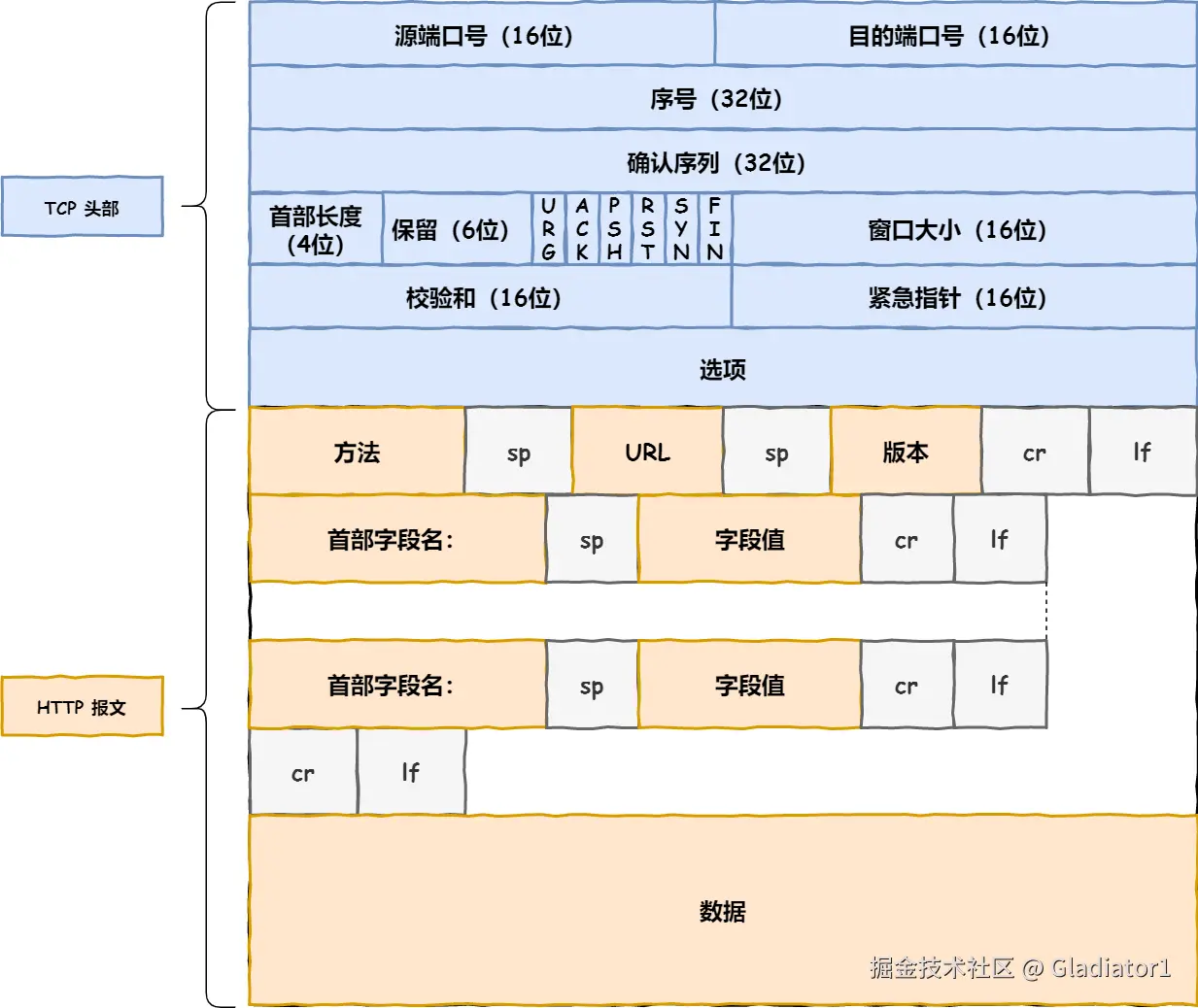 TCP 层报文