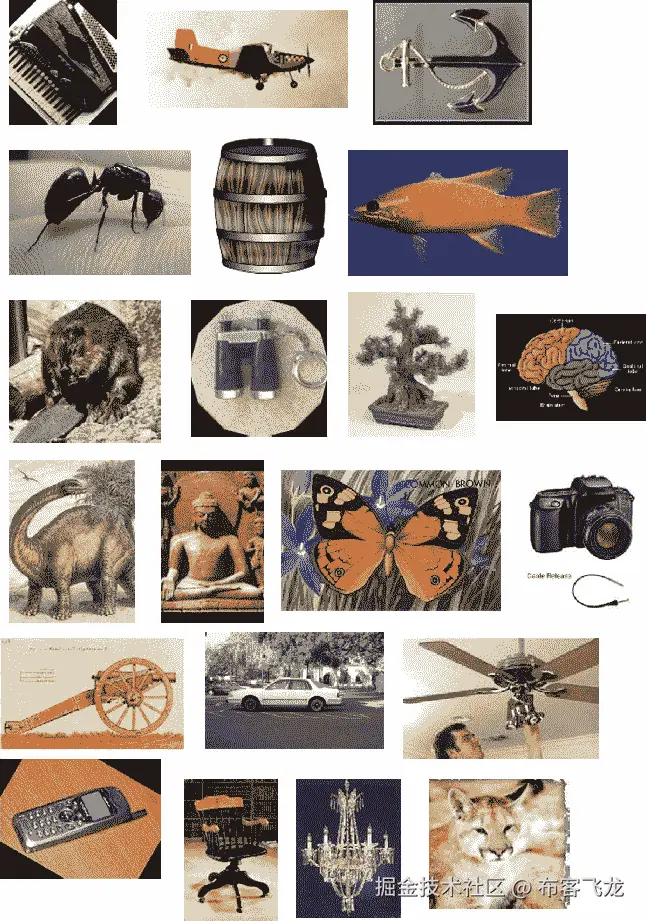 数据集示例图像