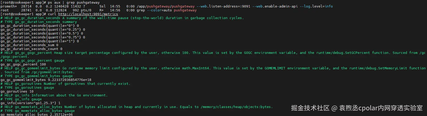 image-20260129145627630