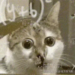 awesome.gif