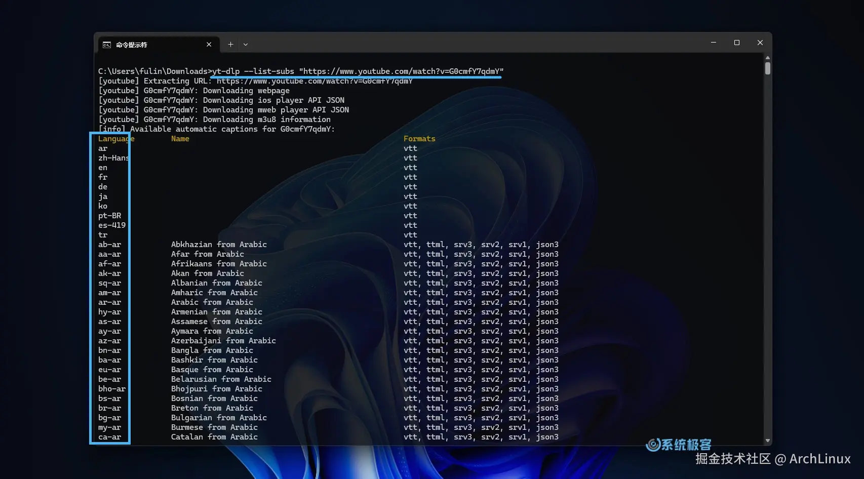 使用 yt-dlp 查看视频字幕文件