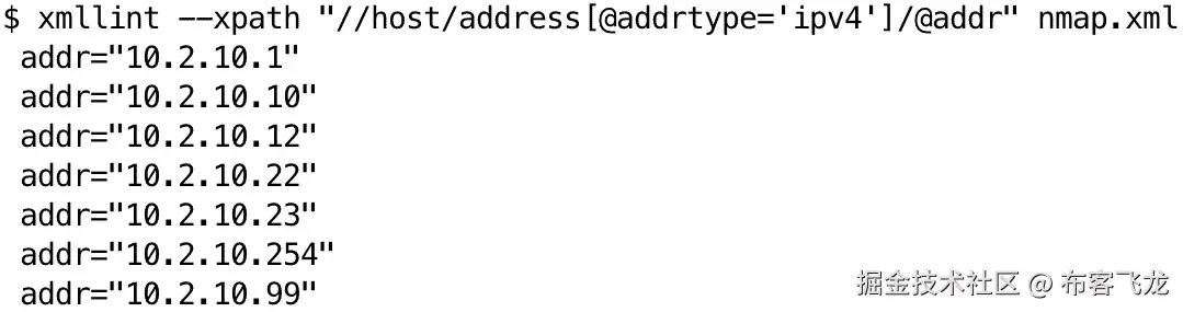 图 13.1 – Nmap XML 筛选器的输出