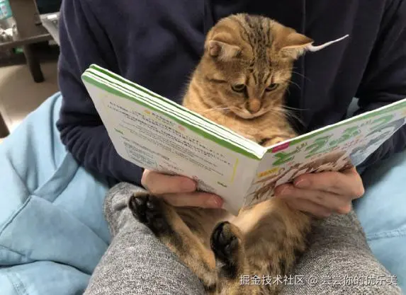 3b0a9832a3afd29ceb8a9148917a5ebe.jpeg