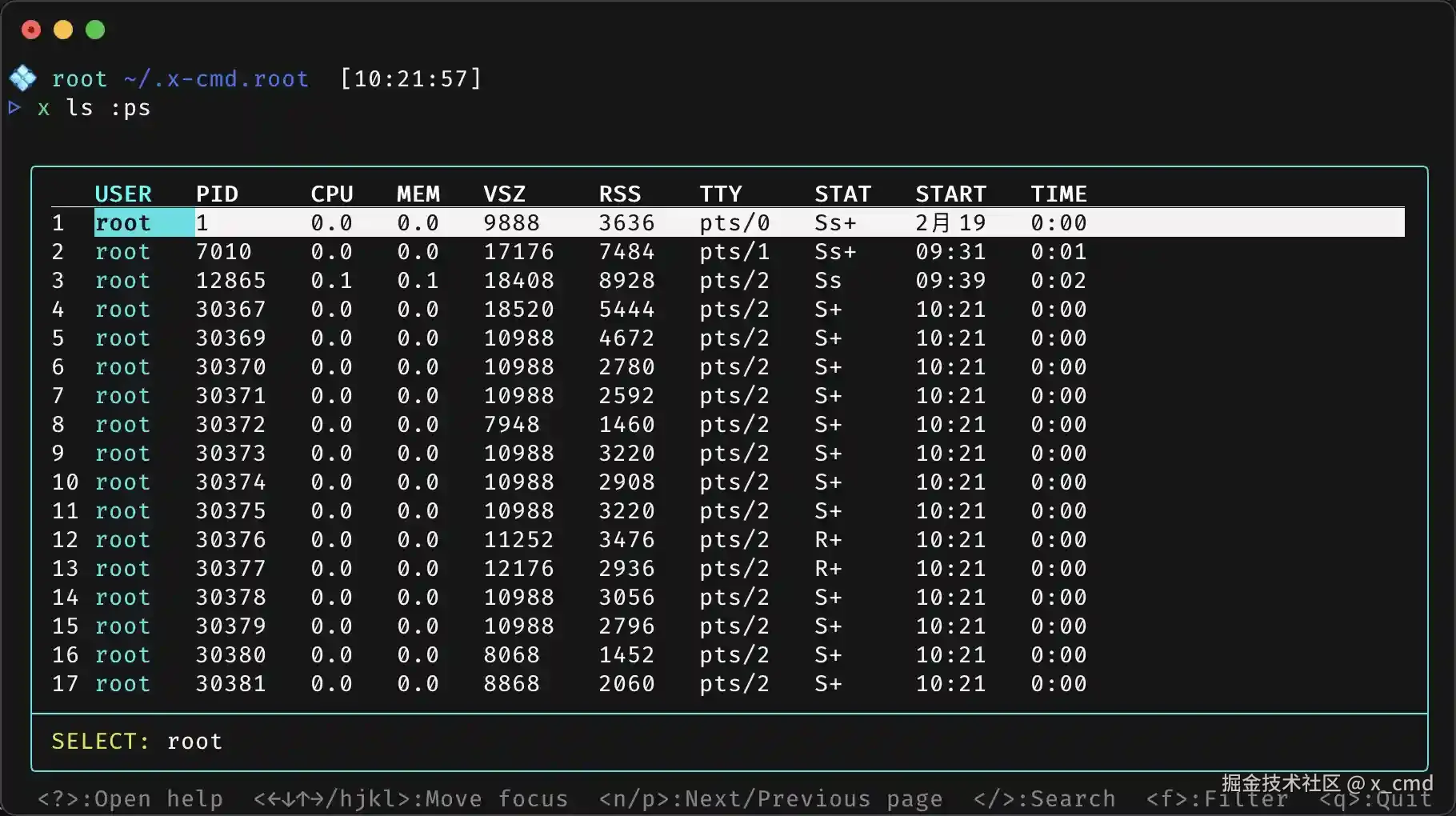 ls.2_1.webp