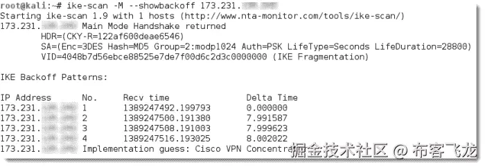 对 VPN 网关进行指纹识别