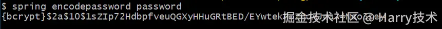 SpringBoot CLI 加密