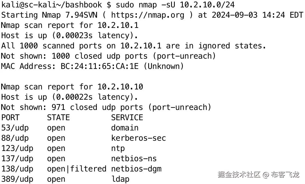 图 10.6 – 使用 Nmap 进行基本 UDP 端口扫描的部分输出