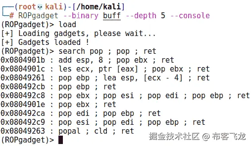 图 11.12 – 在我们的程序中找到 pop pop ret 小工具