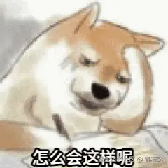 怎么会这样