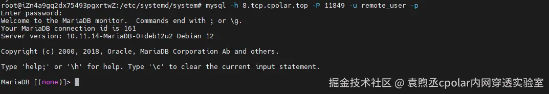 image-20260130161810132