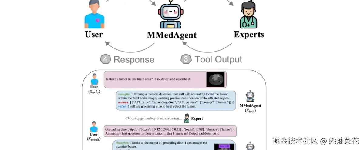 公众号: 蚝油菜花 - MMedAgent