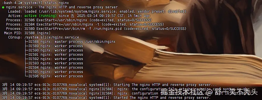 image-20250314102532941