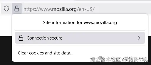 点击 Firefox 地址栏锁图标，查看连接安全信息