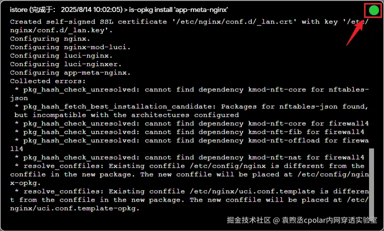 image-20250814100504209