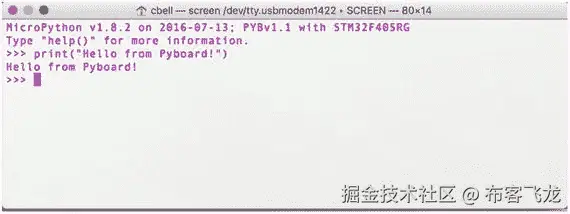A447395_1_En_2_Fig10_HTML.jpg