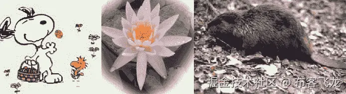 图 12.4 – Caltech 101 样本图像