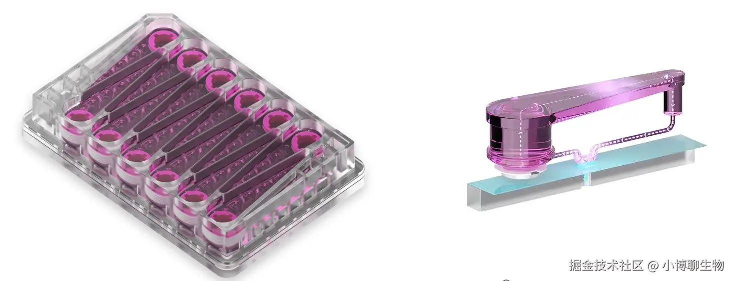 CN BIO MPS-LC12微孔板结构