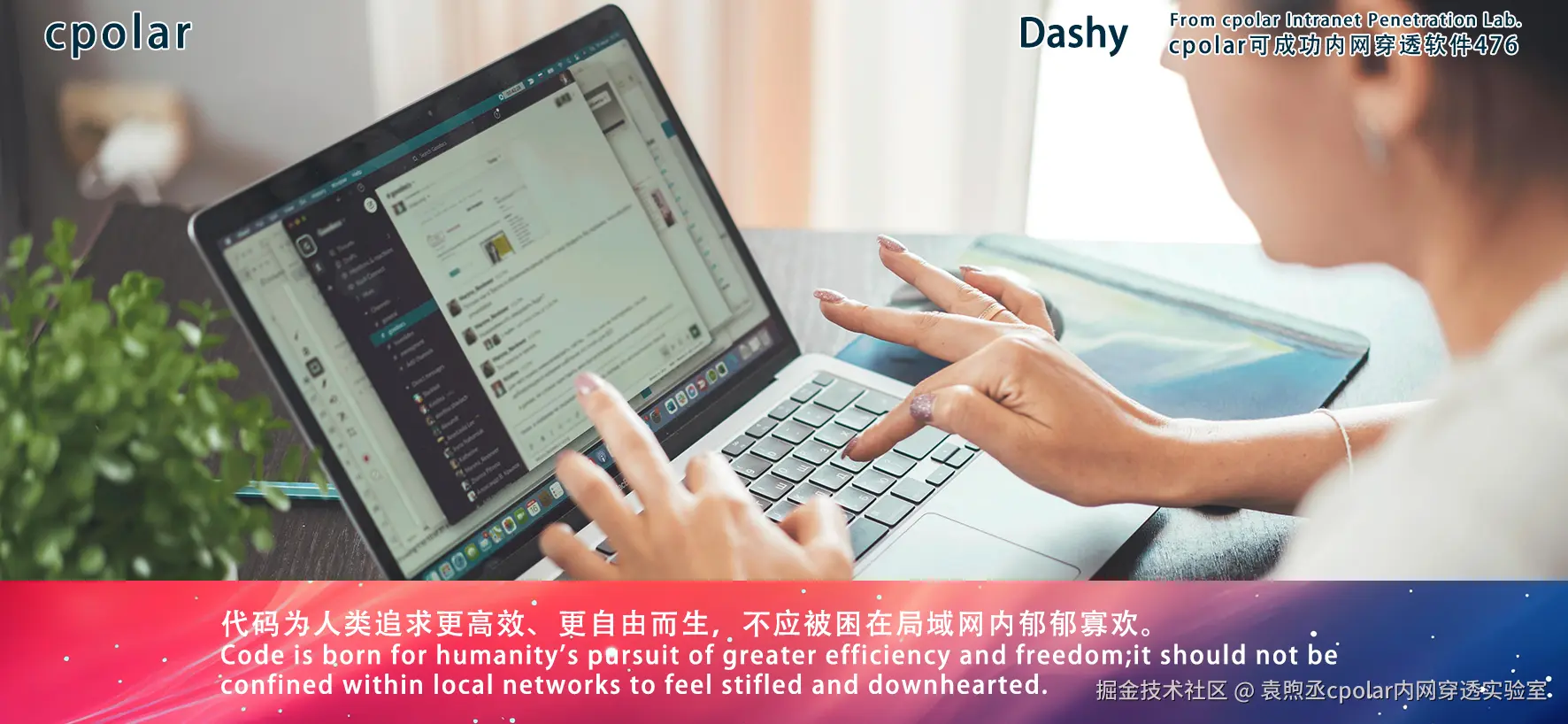 NO.476 Dashy-02.png