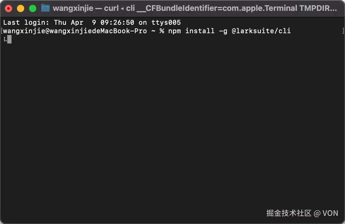 npm 全局安装 lark-cli 的终端执行过程