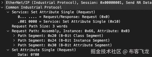 图 8.45 – 数据：0f00 CIP 详情