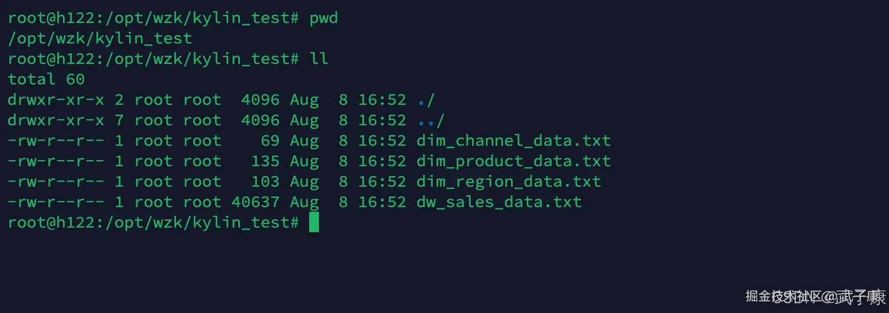 服务器上查看数据
