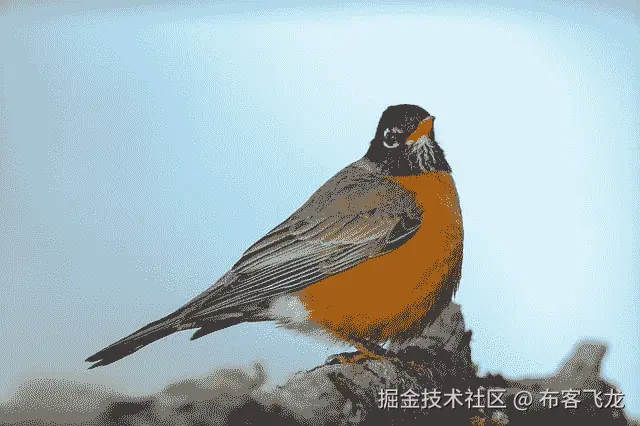 Robin, by Chris Heald