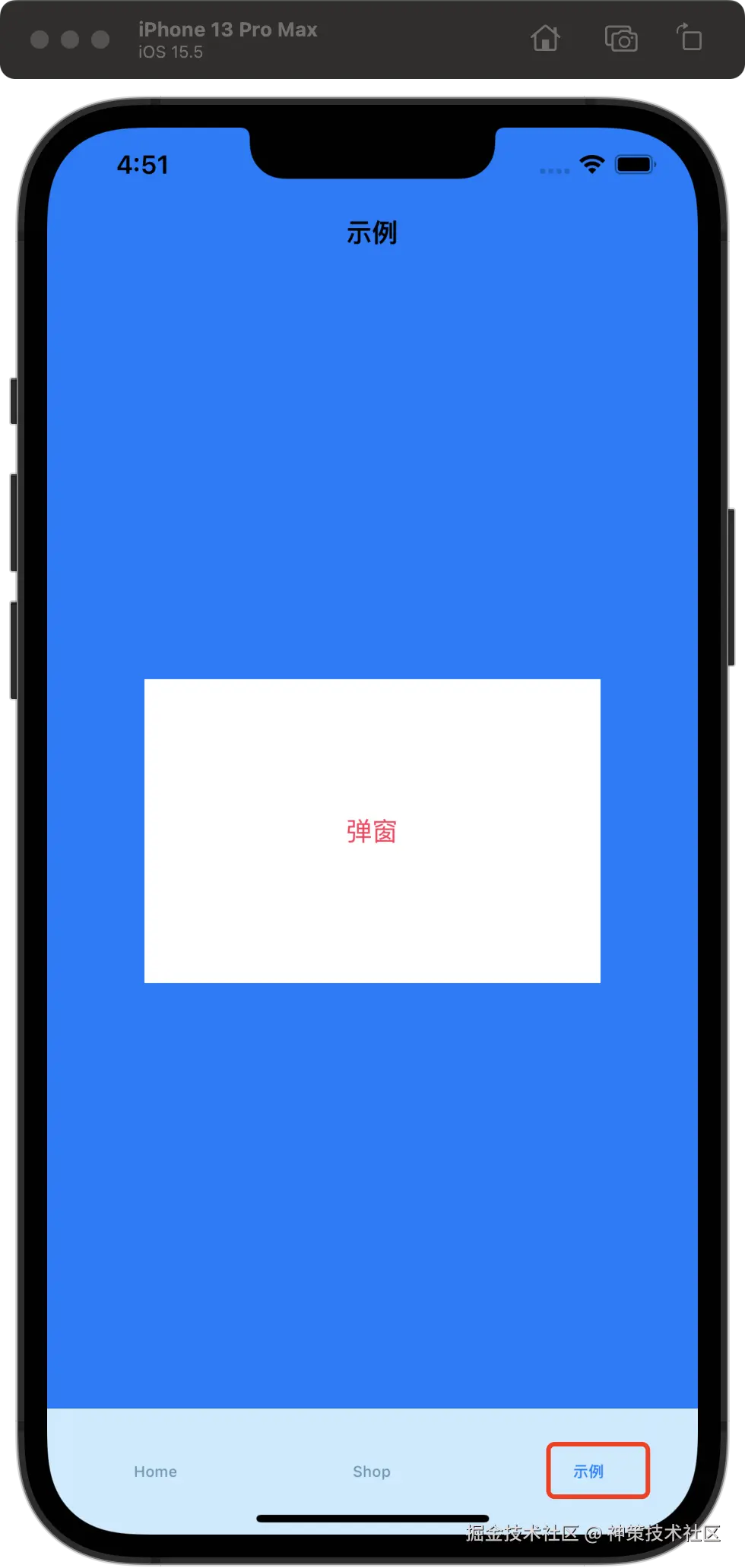 visable_1