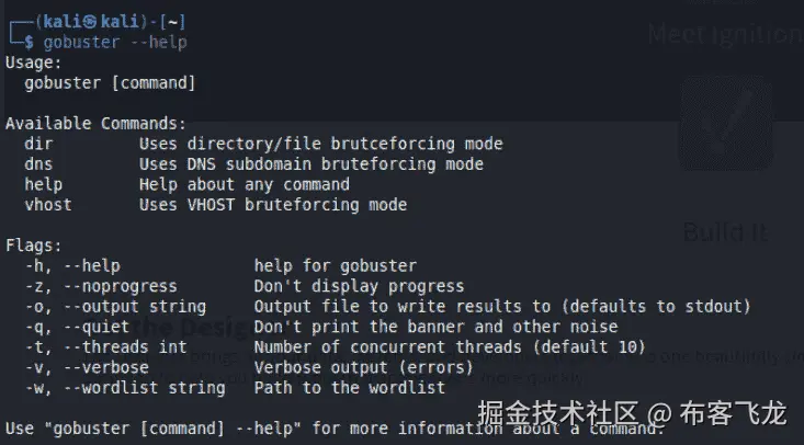 图 7.34 – Gobuster 帮助