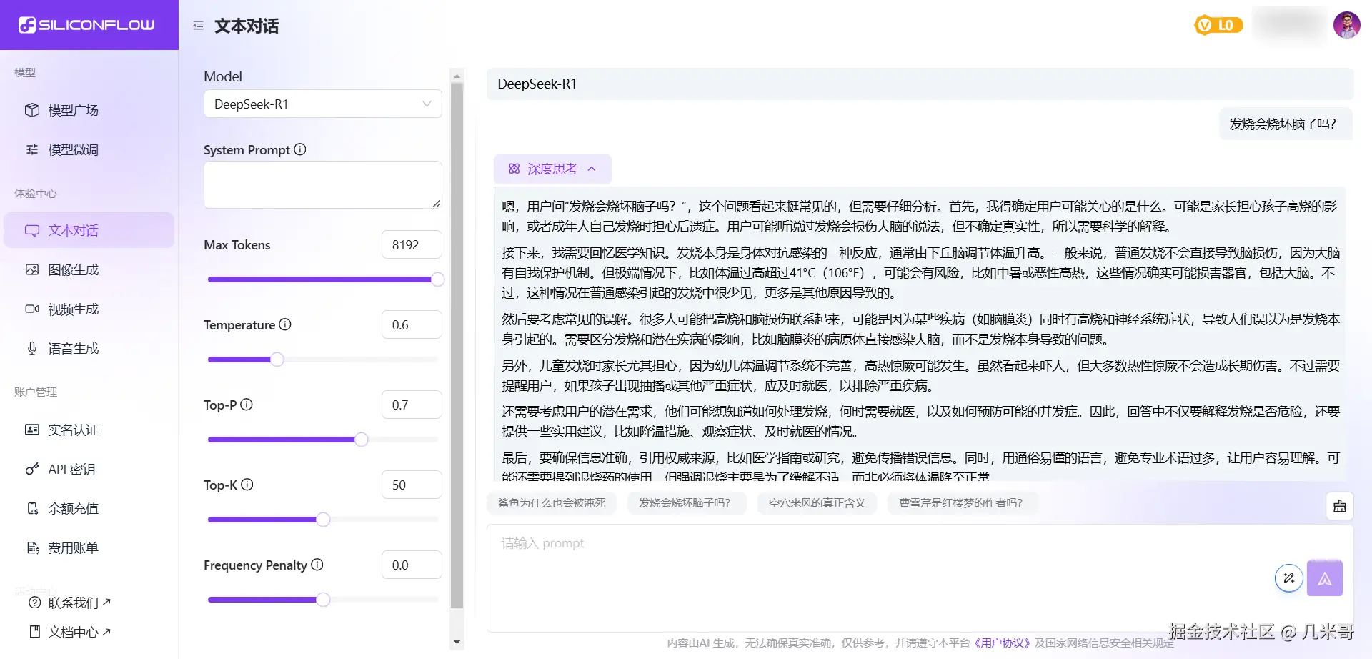 硅基流动平台的DeepSeek R1即时对话界面