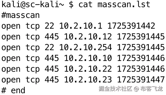 图 10.8 – Masscan 主机发现输出文件内容