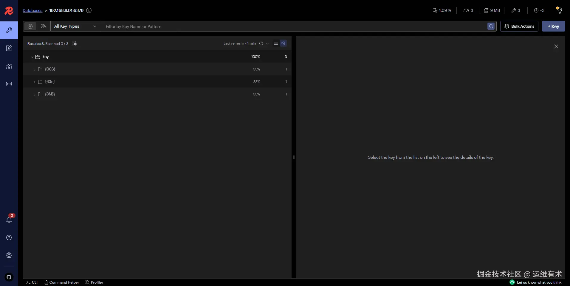 redisinsight-browser-v260